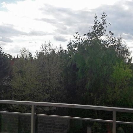 Silver Apartment In Wilanow 华沙 外观 照片
