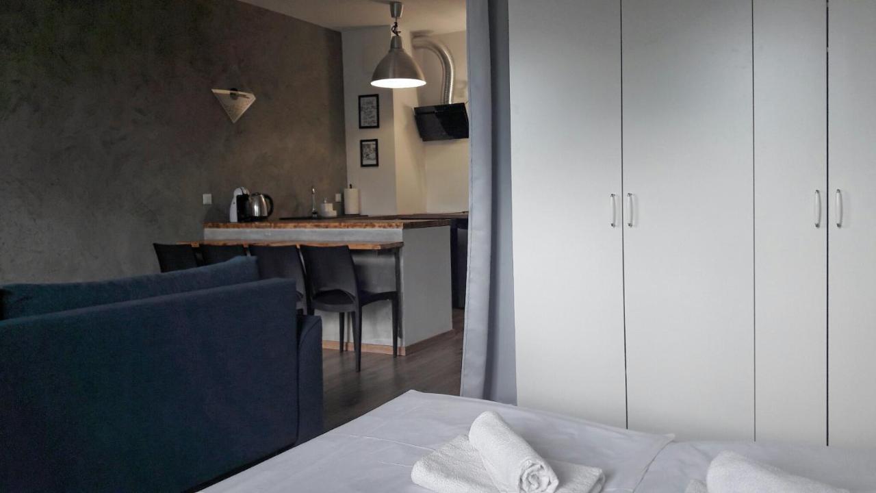 Silver Apartment In Wilanow 华沙 外观 照片